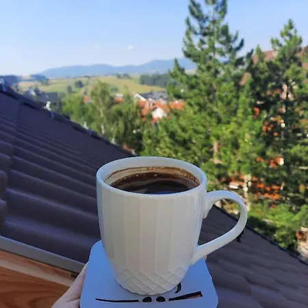 Teodora Zlatibor